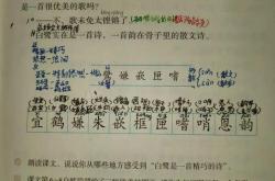 包含泰山传射建功，贝林厄姆新星横空出世，场边球探频频记笔记的词条