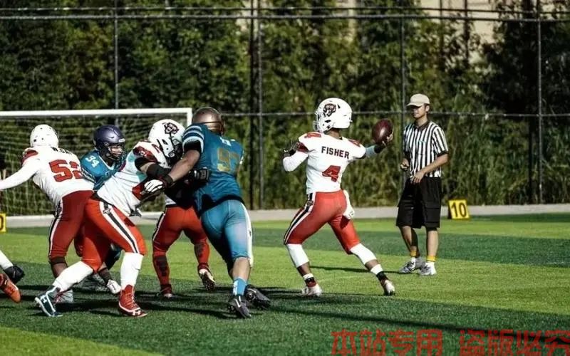 多米体育网站网址