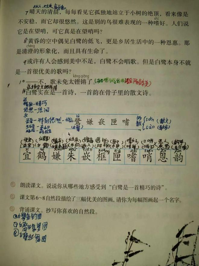 包含泰山传射建功，贝林厄姆新星横空出世，场边球探频频记笔记的词条